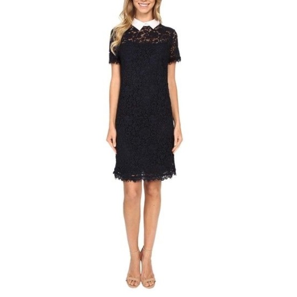 Lauren Ralph Lauren Black Lace Collared Dress - Picture 2 of 13